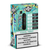 Champs Vape Cool Mint (15000 – 10000 Puffs) Dual Coil