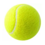 Tennis Balls 10ct